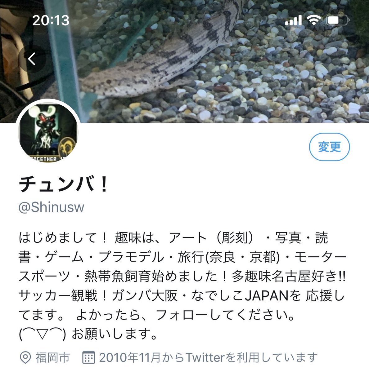 チュンバ❗️ tweet media