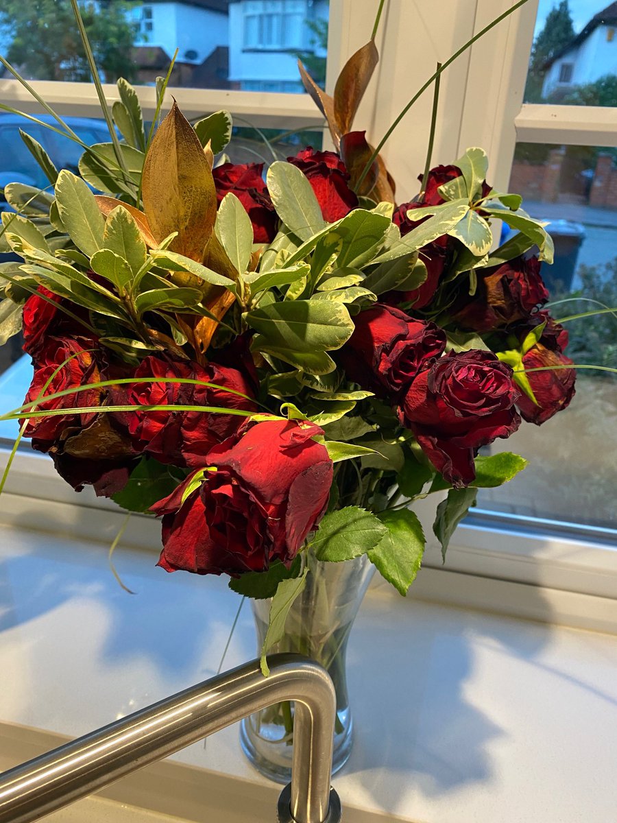Markyw007's tweet photo. Ordered £60 of roses from @prestigeflowers for my wife’s birthday that lasted a few days. Emailed them multiple times with images without response. Even said I would go legal but still no response. When I called was told to email again. Nothing. Small claims court here I come! https://t.co/SRzP83gDPh