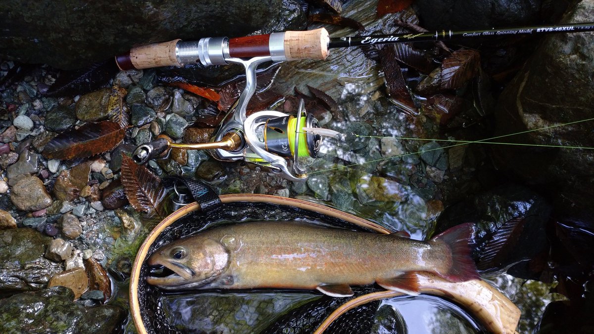 fujihir16395883's tweet photo. 今シーズン初赤久縄✨
意外と厳しかった😭
#palms
#egeria
#jackson
#dartmagic
#daiwa
#イワナ https://t.co/nUoOQCRLqb