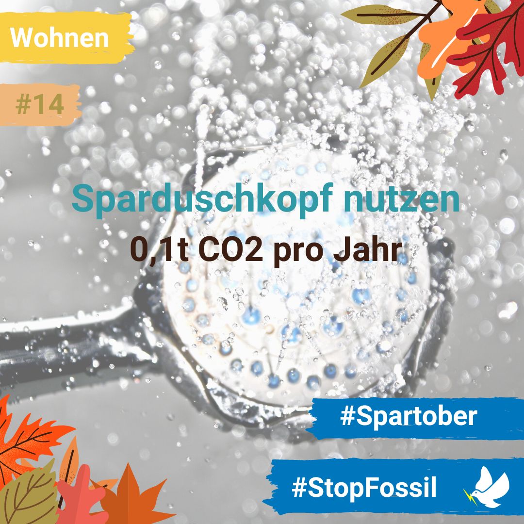 Stop-Fossil tweet media