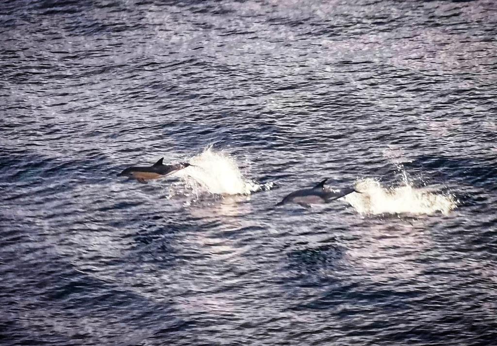 Jake Evans Storyteller tweet media