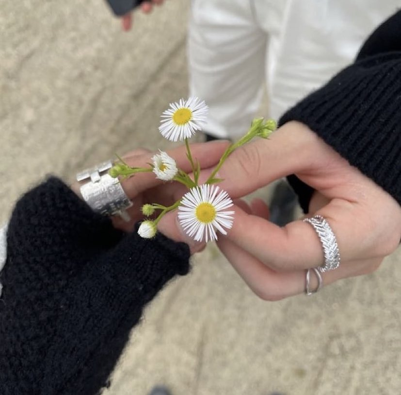 straykidsxzone's tweet photo. Felix encontró margaritas en el set y recordó la foto que se tomó junto con Hyunjin sosteniendo una durante la grabación de Thunderous 😭 https://t.co/WbtzWEytjh