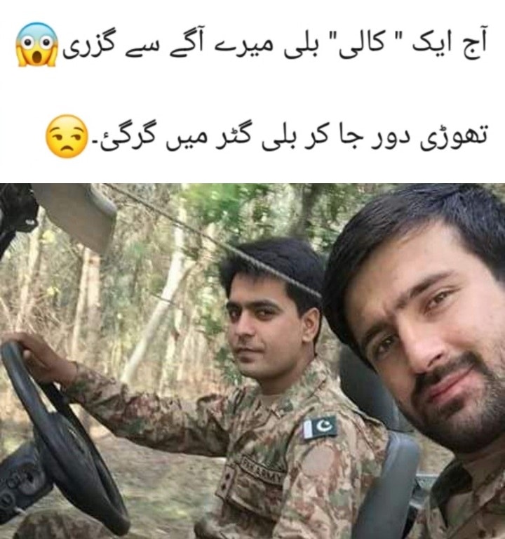 ISPRcomic's tweet photo. بیچاری بلی😝😝
#ISPR #DGISPR #PakArmy 
#Swat
#centaurus
#میلادریلی_پہ_نیازی_غنڈہ_گردی
#WorldMentalHealthDay
#مبشر_لقمان_اوقات_میں_رہو https://t.co/J2P8hgH35v