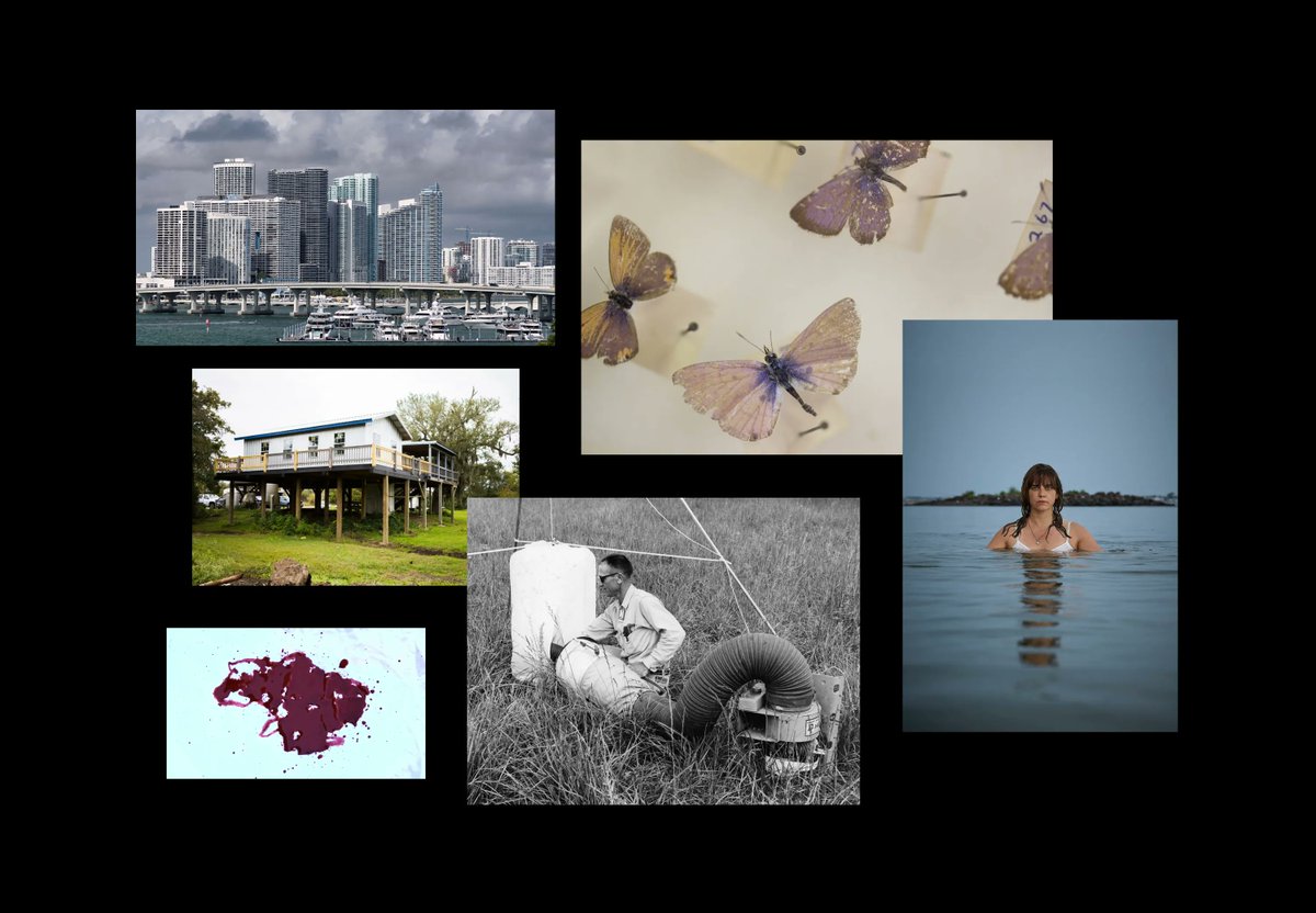 anthrocommons's tweet photo. If you want to find out more about #Accountability, #Habitability, #Throughlines & #Repair in the Anthropocene, we have four newly released #courses available for free on our research platform: https://t.co/3jFbky2dT0 https://t.co/YXVRmd15G9