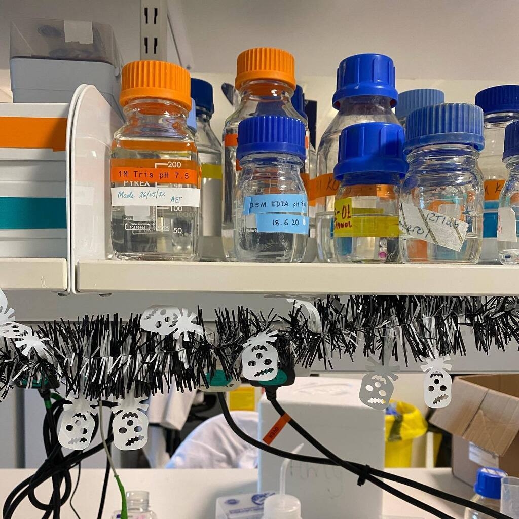 The lab is Halloween ready! 🎃 👻 🎃 instagr.am/p/CjiD0EsD1Oy/