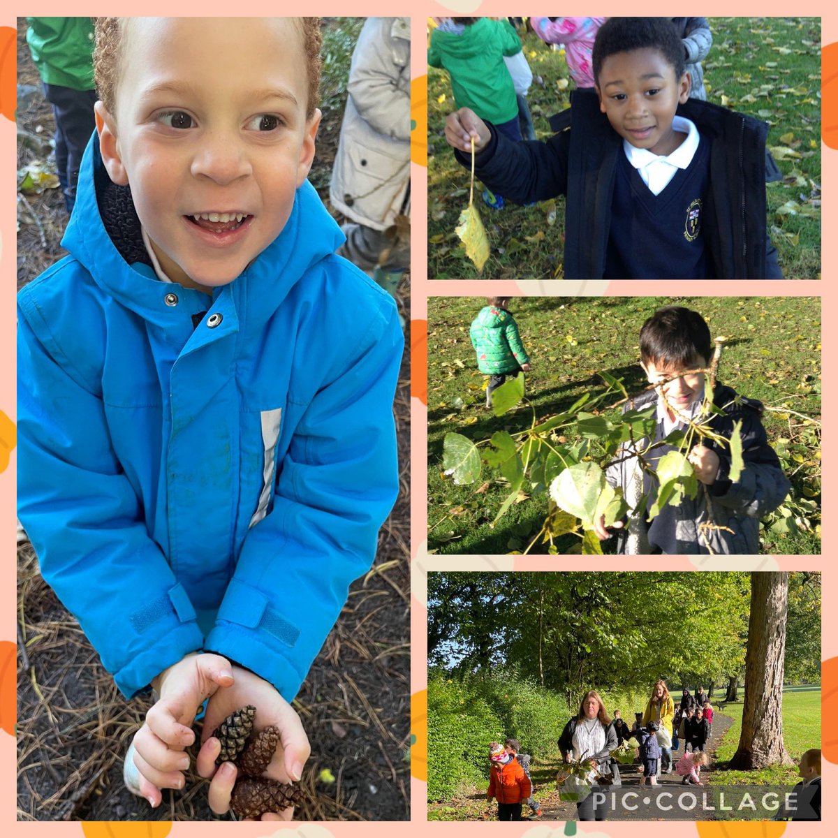 emmadilworth3's tweet photo. To support their learning about autumn the reception class @school_sthildas has been on an autumn walk to their local park. #EYFS #autumnleaves #autumnlearning https://t.co/reL8Dwm50y