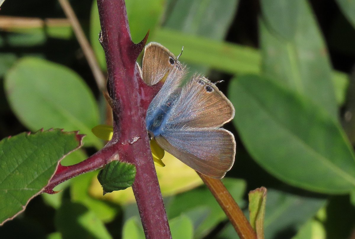 Joe Stockwell tweet media