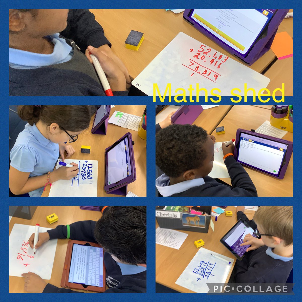 Whitefield Primary - Year 5 tweet media