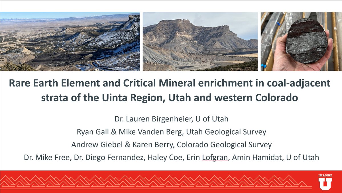 Dr. Lauren Birgenheier tweet media