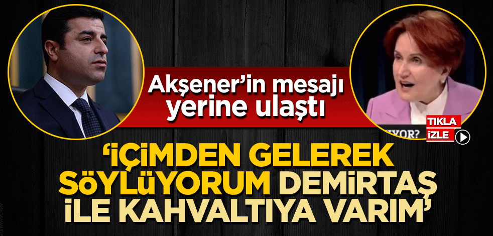 VE  UTANMADAN  MİLLİYETÇİYİM   DİYOR