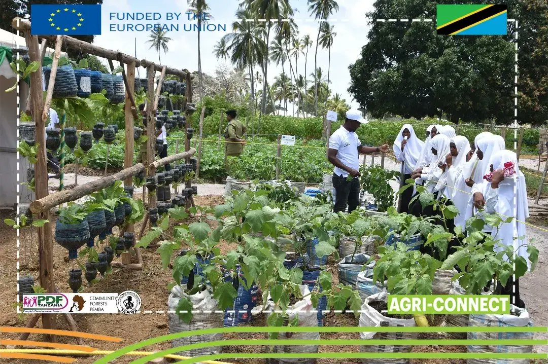 ViungoProject's tweet photo. MATUKIO KATIKA PICHA- SIKU YA 01: 

Maafisa wa Mradi wa VIUNGO wakitoa maelezo kwa wananchi waliofika kwenye banda letu la maonesho  ya Siku ya Chakula Duniani yaliyozinduliwa leo  kisiwani  Pemba na Makamo wa Pili wa Rais Zanzibar, Mhe. Hemed Suleiman. @EUinTZ 
@FAOTanzania https://t.co/k1SZ9x0MsK
