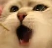 YackPlays's tweet photo. https://t.co/ad8sgZVd2M