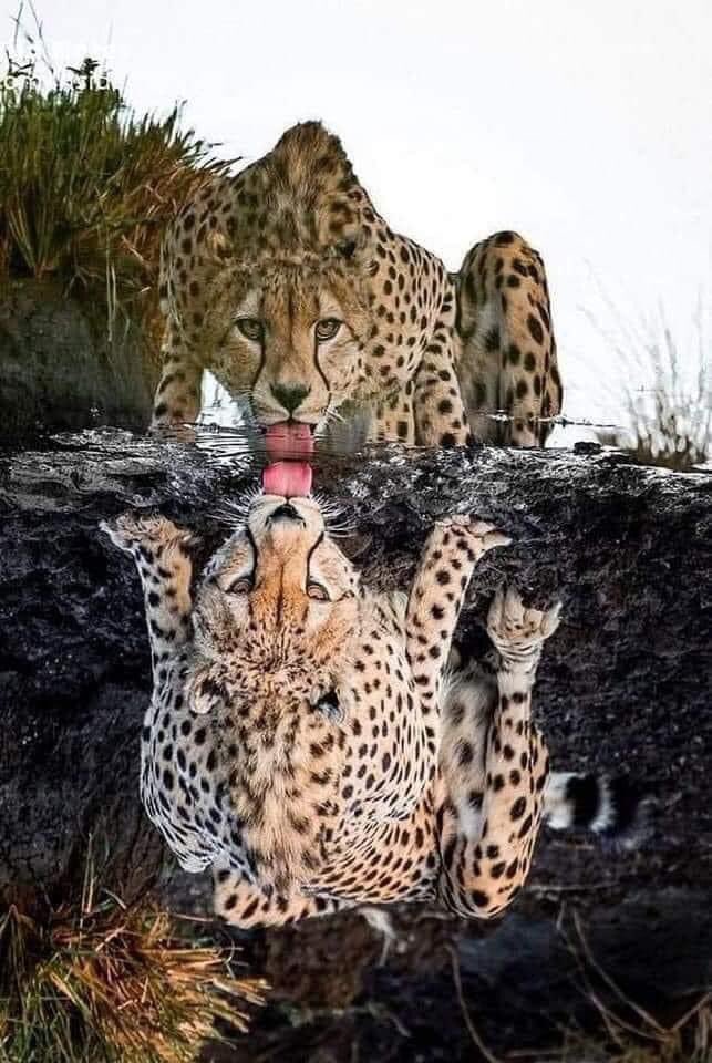 When perspective, focus and timing is everything.

#perspective #focus #timing #FST $FST #BTC