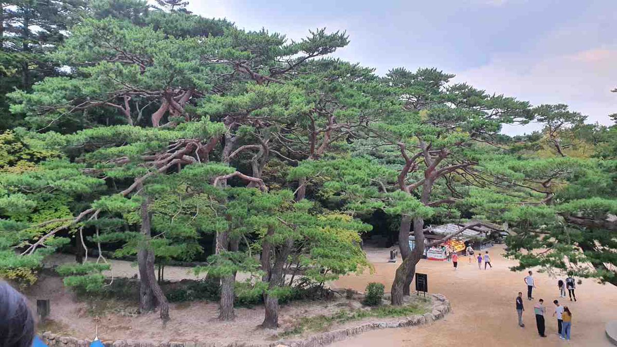 Iwpg_Ulsan's tweet photo. IWPG #GLOBAL4 Region  #peace #울산지부 #가을 산행 #간헐산 https://t.co/fBAPowO5Kj