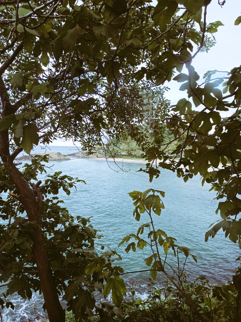 Seni seviyorum ama isterdim ki bu senin karnını doyursun ,yaranı onarsın , üstünü örtsün ,hiç olmadı bir cam pencere açsın , içine su serpsin , sırtını okşasın ve sen uyurken etrafa göz kulak olsun .Oysa hiçbir şey yapmıyor yani seviyorum ama bunun bu kadar oluşu beni kırıyor ...