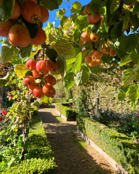 Autumn is a stunning time of year on the Farm 🧡 The changing colours in the Gardens create the perfect backdrop with rich, warm &amp; russet tones! 🍁
Autumn wedding days filled with late ☀️ make for beautiful sunsets, unforgettable weddings &amp; stunning photographs to treasure 🧡