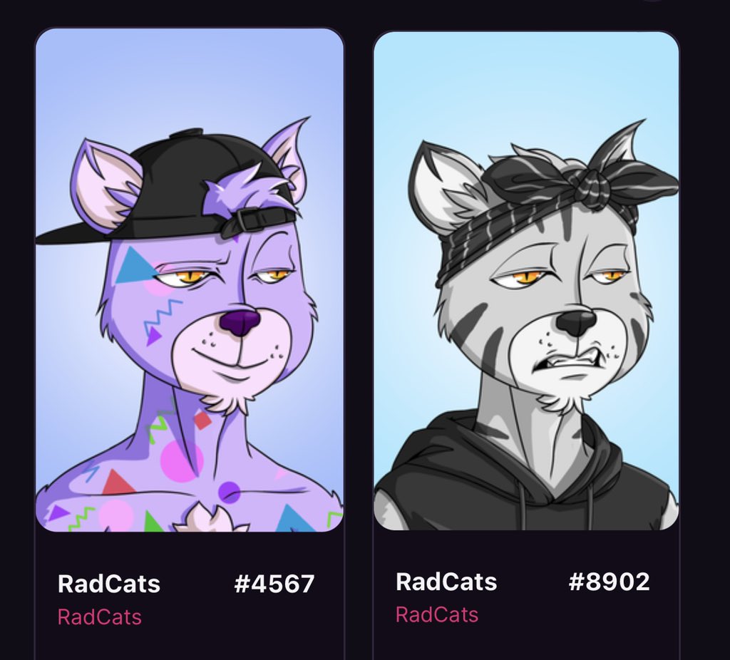 Finally joined <a href="/RadCatsNFT/">RadCats™️</a> the same day staking came to life! Bullish as a MF! 🔥 time to stake my homies and get a few new! LFG! 🚀 Earn that $Rad 

Do cats follow cats?