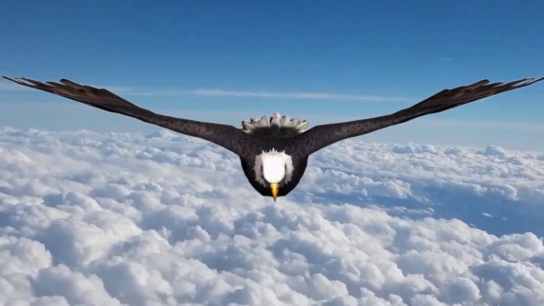 DeMelashGang's tweet photo. .
“ Eagles Love the Storm – Eagles are the only birds that love the storm. When all other birds try to flee from it and hide its fierceness, eagles fly into the storm and will use the wind of the storm to rise higher in a matter of seconds “
#UniqueQualities
#AmharaNationalism https://t.co/bqNsolQXwL