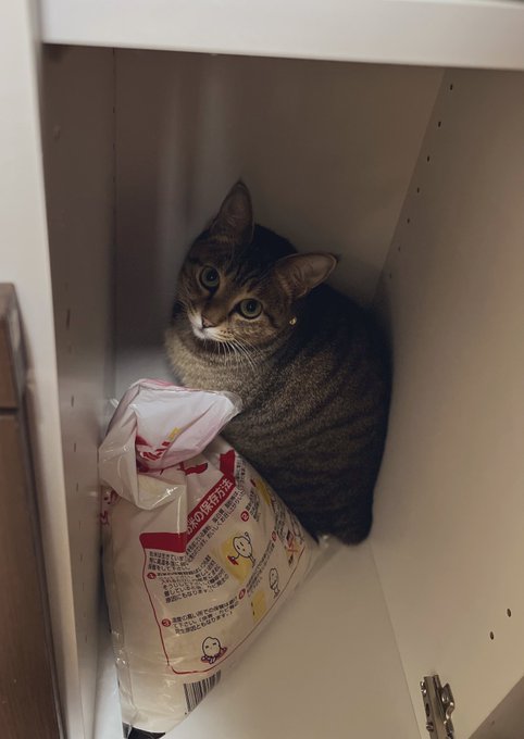 おきょめ…? 
