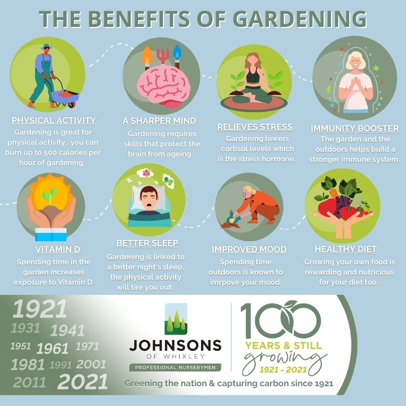 johnsonsnurseries tweet media