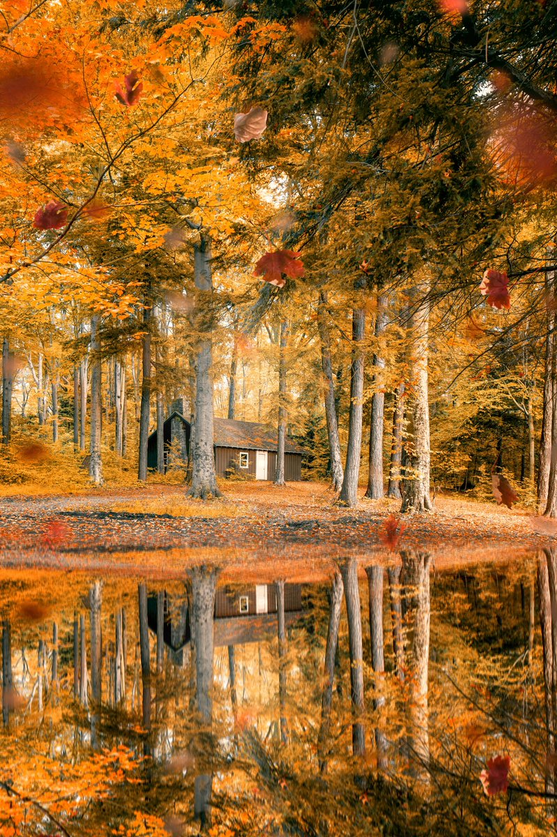 🍁Reflecting on Autumn🍁

instagram.com/p/Cjh9-IruXuR/…

#fall #autumn #fallcolors #AutumnColors #ny #ispyny #thisisupstate