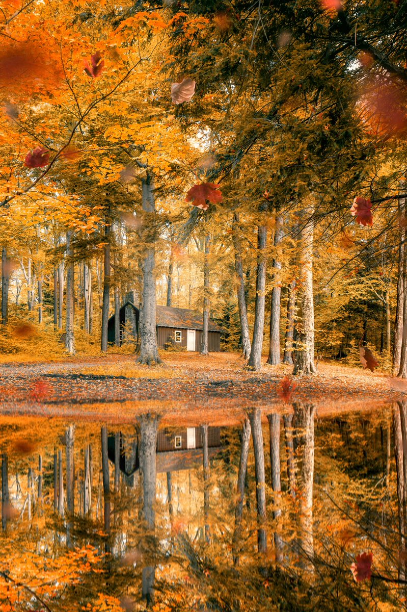 wnyscenery's tweet photo. πReflecting on Autumnπ
https://t.co/Wv4PmaW64k
#fall #autumn #fallcolors #AutumnColors #ny #ispyny #thisisupstate https://t.co/FzDEXhYpFX