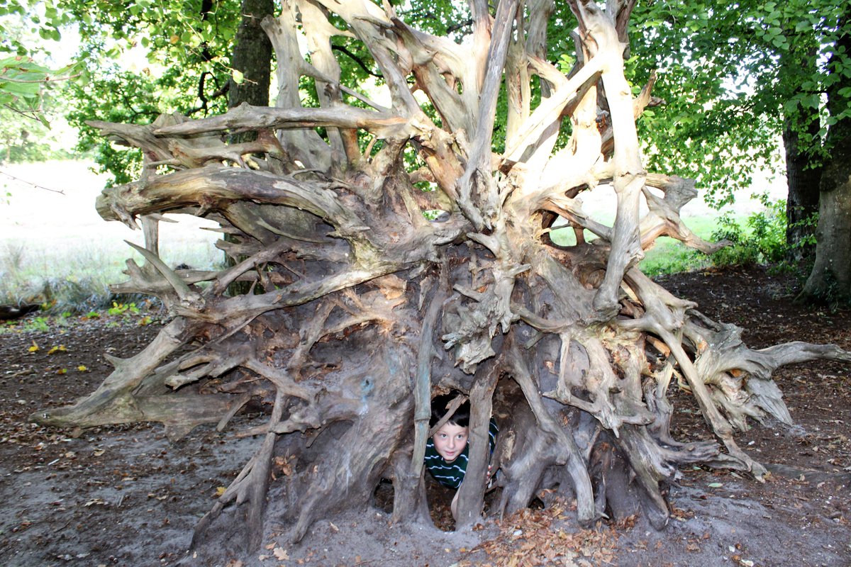 Longspee Academy Primary tweet media