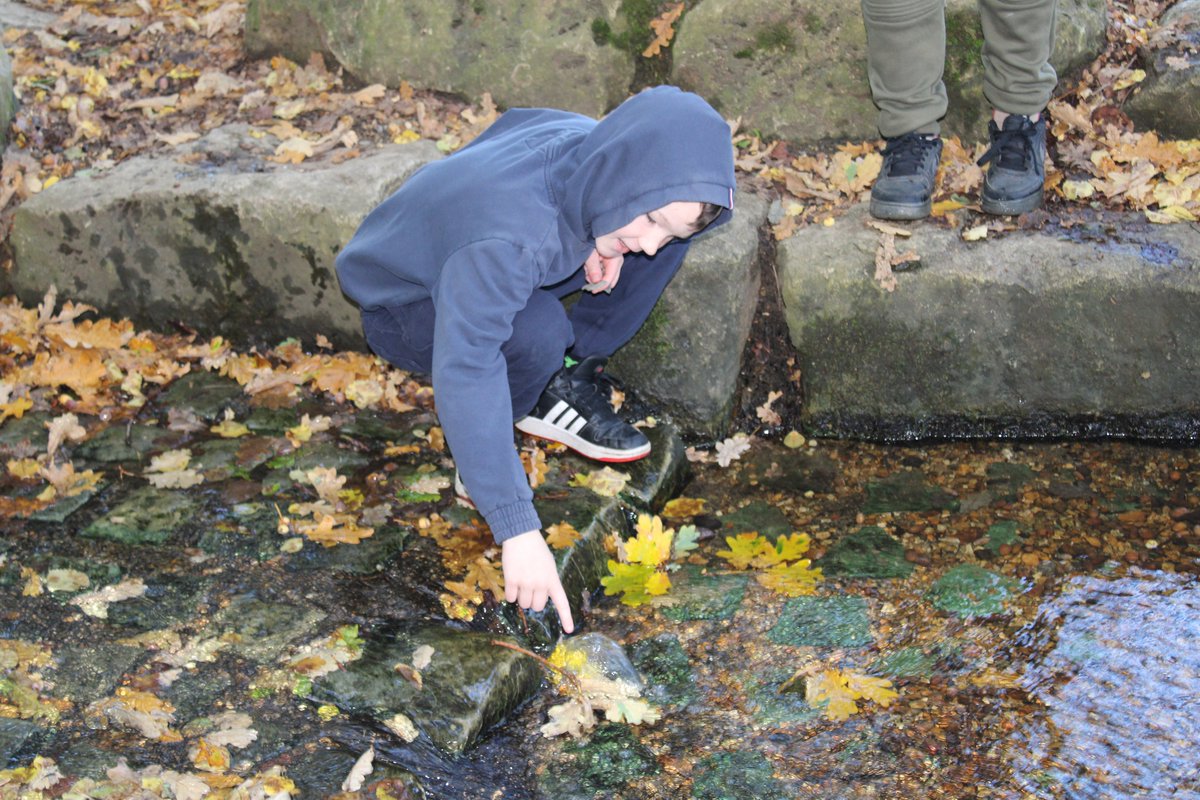 Longspee Academy Primary tweet media