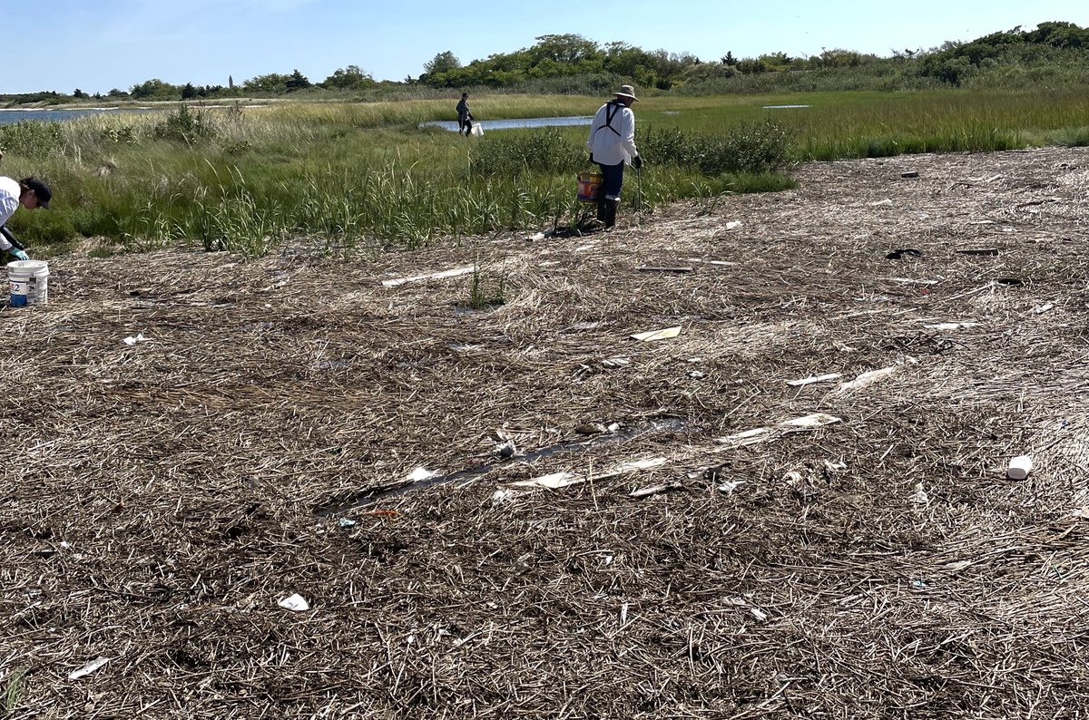 OperationSPLASH's tweet image. Sometimes it seems as though our work is never done - but thankfully our volunteers are up for the challenge! 

Visit operationsplash.org to learn more about how you can help!

🛥️ Captain Jim's Wantagh Thursday Crew