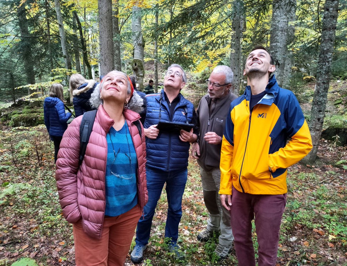 furet_company's tweet photo. 🌲🌳Samedi l'@ONF_Officiel inaugurait son nouveau MARTELOSCOPE NUMERIQUE à @villarddelans 
50 personnes de tous âges étaient de la partie.
#Forêt et #application ont été appréciées lors de ce moment #convivial.
#gardeforestier #isère #bois #sensibilisation #biodiversité https://t.co/losA9Xy0nL