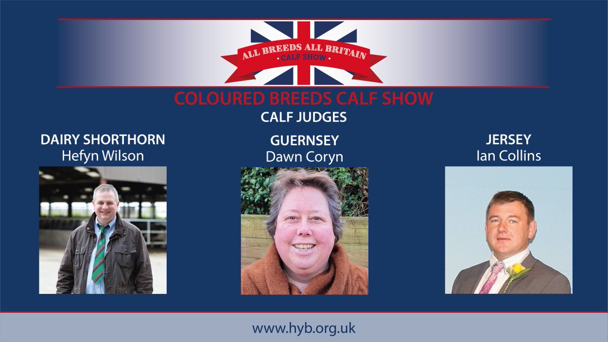 ABAB Calf Show tweet media