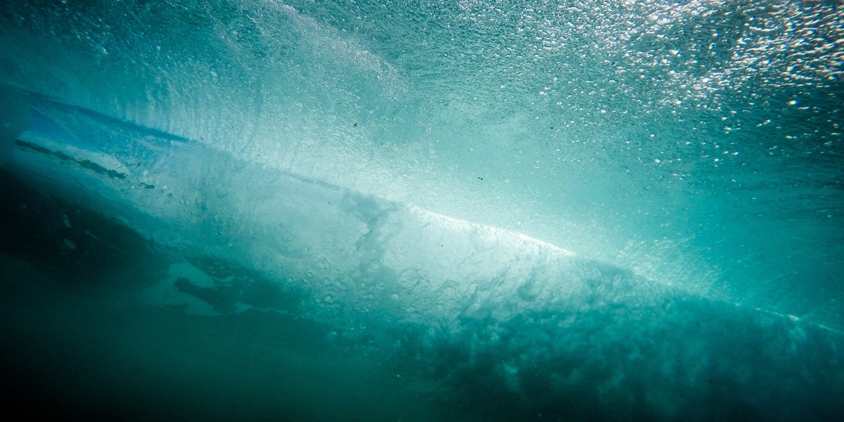 MLRProject's tweet image. We hope your Monday is going SWELL!