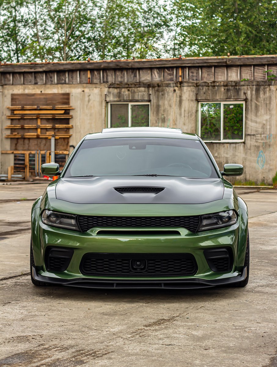 Leave them green with envy. 😏
#ThatsMyDodge
📸: James B.
