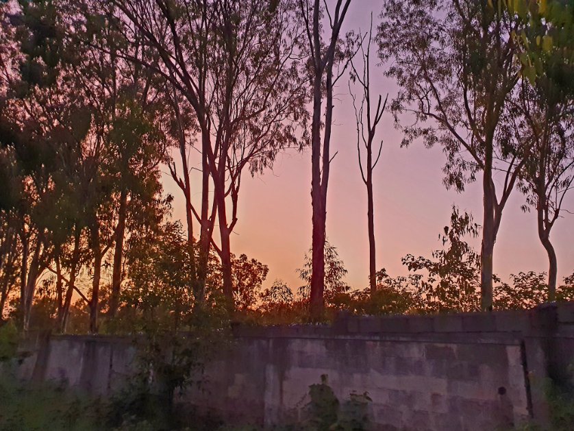 cbe_pasanga's tweet photo. Walking path clicks,
Beautiful sky colour Today 🌌
#Samclicks #Bangalore
#Jailer #Rajinikanth𓃵 https://t.co/6rdaG54eP4