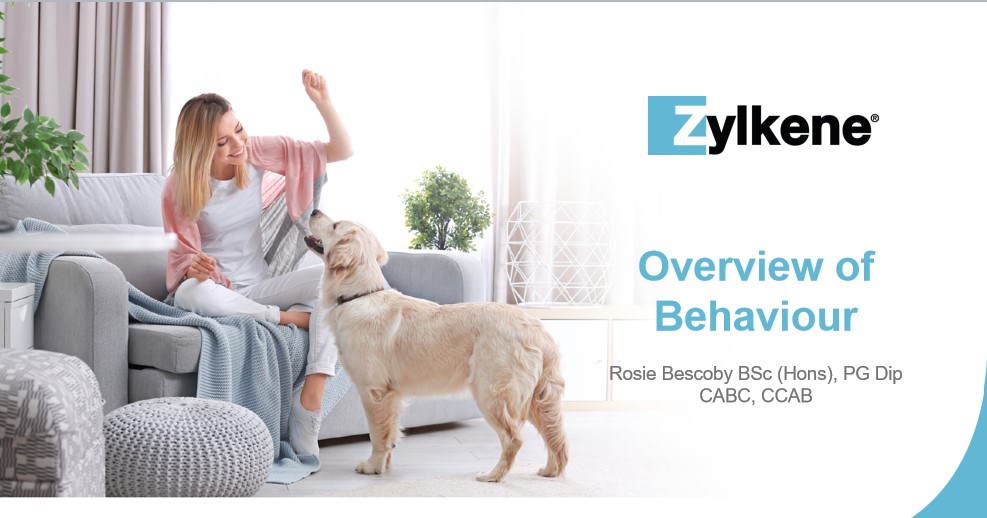 With fireworks season approaching, RAMA/SQPs can refresh their knowledge and discover new emerging behaviour trends post lockdown identified by the PDSA PAW Report and see how best to support pet clients. Earn 3 points for this new FREE CPD from Vetoquinol <a href="/SQPTraining/">SQP Training</a>