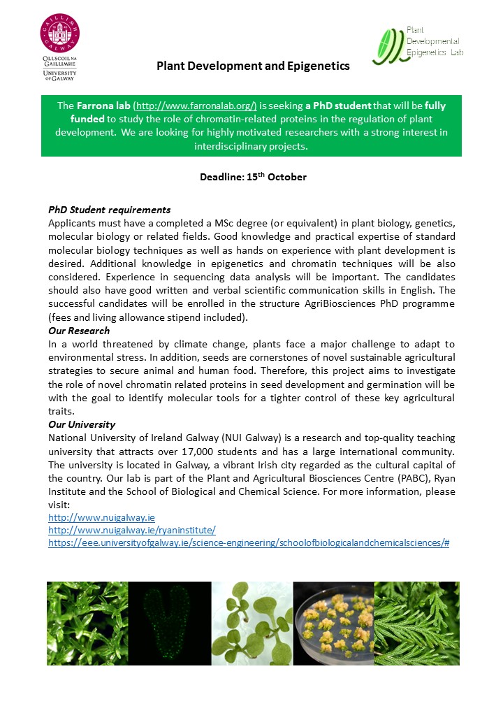 Still 5 days to apply, do not miss the opportunity!!! if you are interested in 🌱 and epigenetics, send us your cv, motivation letter and transcripts. #PlantSciJobs