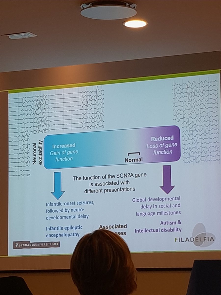 Rikke S. Møller (@filadelfiagene1) on Twitter photo Excellent educational talk on the phenotypic spectrum of #SCN2A and #SCN8A related disorders by my dear colleague <a href="/Elegardella/">Elena Gardella</a> 🧬🧠
A spectrum of conditions ranging from self-limiting epilepsies to severe DEEs have been reported. Both GOF and LOF variants can cause #epilepsy ‼️ Excellent educational talk on the phenotypic spectrum of #SCN2A and #SCN8A related disorders by my dear colleague <a href="/Elegardella/">Elena Gardella</a> 🧬🧠
A spectrum of conditions ranging from self-limiting epilepsies to severe DEEs have been reported. Both GOF and LOF variants can cause #epilepsy ‼️