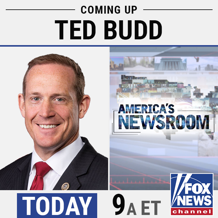 Dana perino on twitter rt americanewsroom us senate candidates for