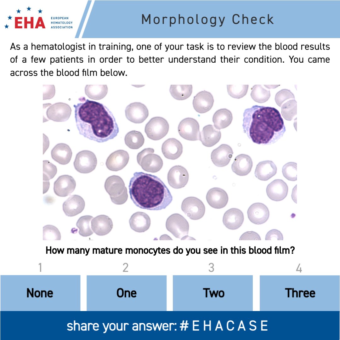 European Hematology Association tweet media