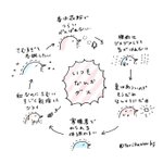 皆様、これが「四季のうつろい」というものになります!