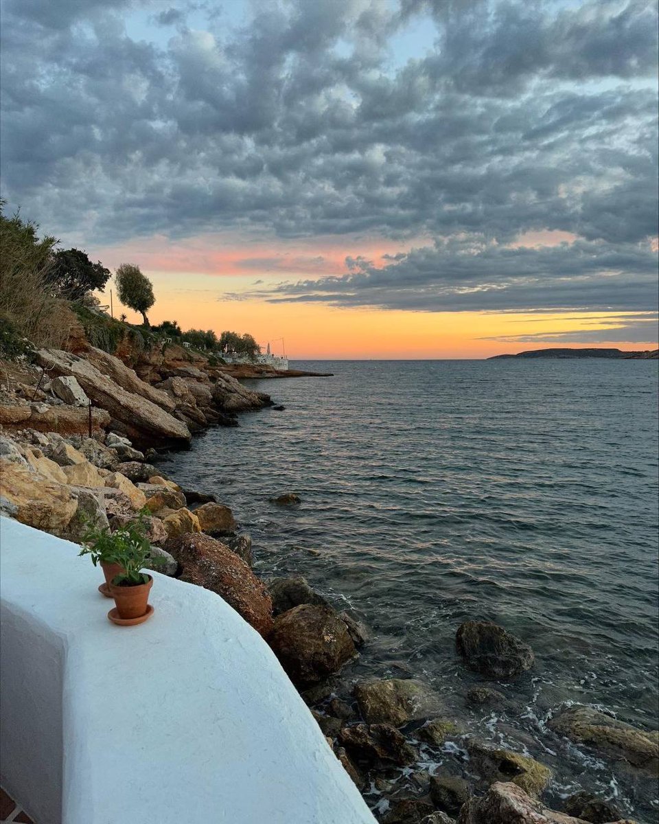 Top Media tweet media