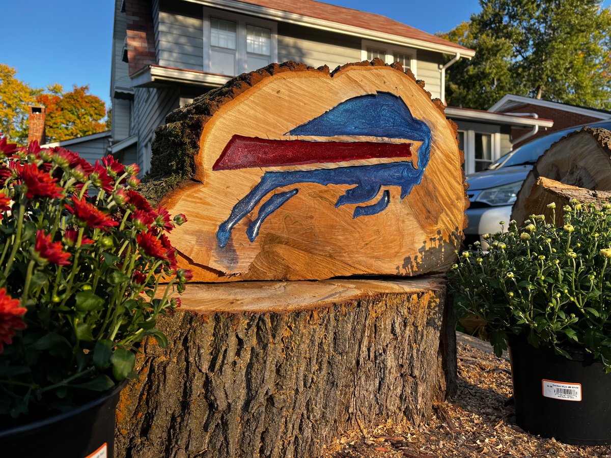 pkwwjd's tweet photo. Creating beauty from the storm @BuffaloBills #gobills https://t.co/Q3y7GWo4QD