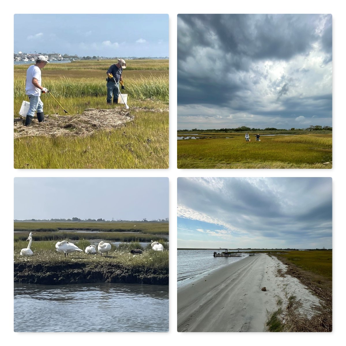 OperationSPLASH's tweet image. Whatever the weather, our volunteers are always out there keeping our bays clean! Their dedication knows no bounds.

🛥️ : Captain Jim's Wantagh Thursday Crew