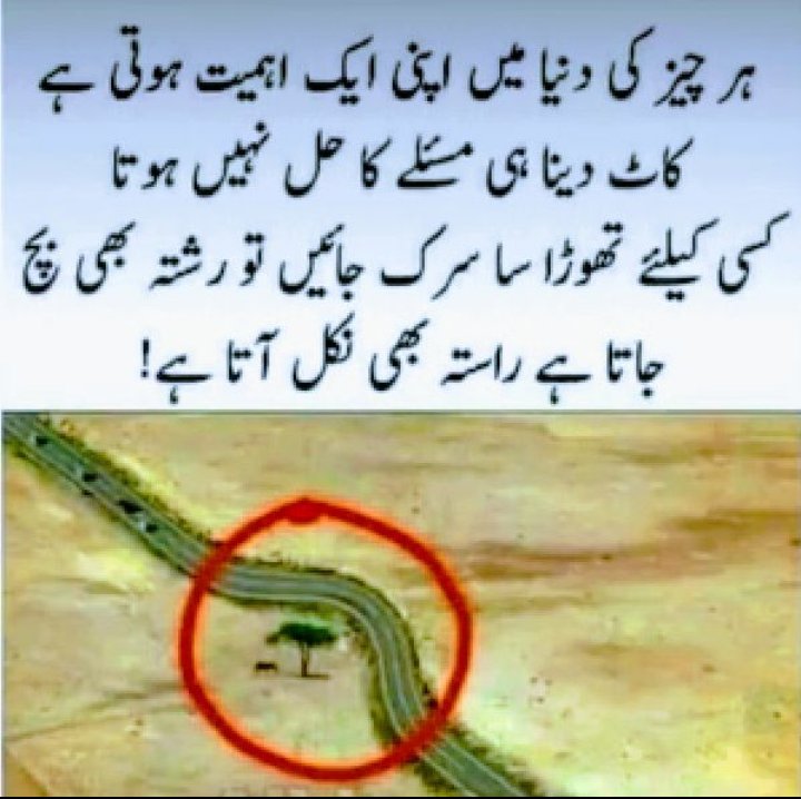 حافظہ سنہرہ (@ispgirl786) on Twitter photo 