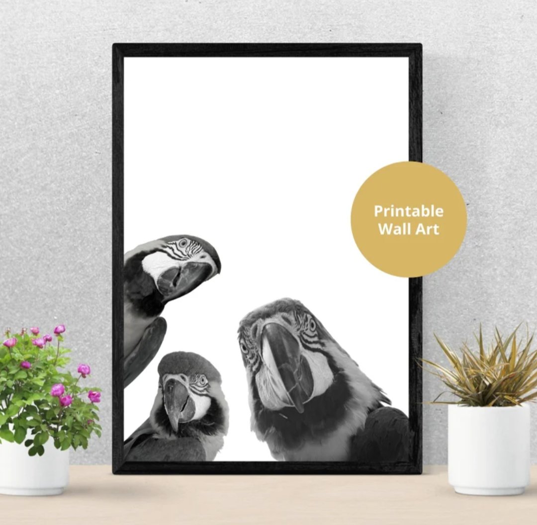 fizzy2socks's tweet photo. Parrot Printable from https://t.co/hLYBDw70co 🧡 #etsystore  #Gift #birds #parrots #uniquegifts  #EtsySellers #wallart #giftideas #homedecor #etsygifts https://t.co/yMthwgfLZe