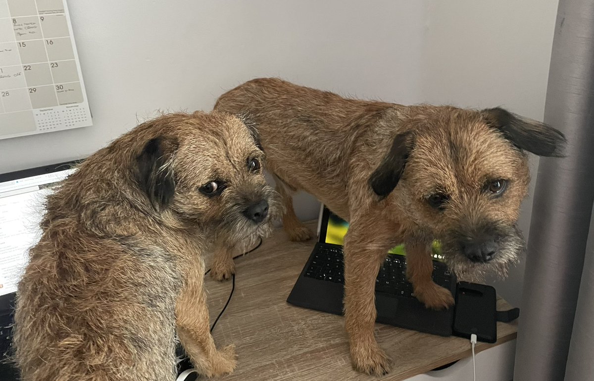 Looks like the boys want to take a break  #WorldMentalHealthDay