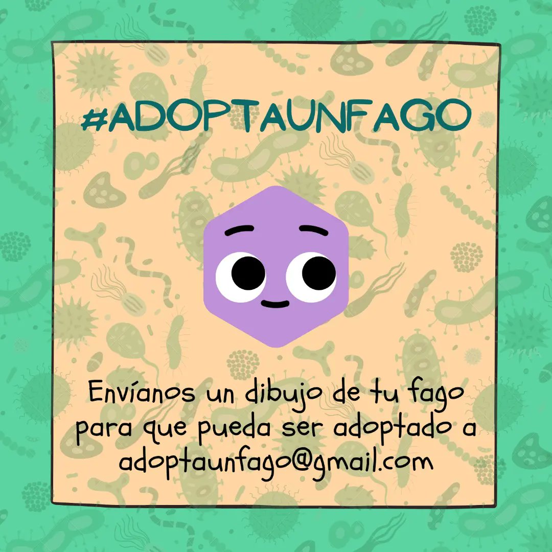 AdoptaUnFago's tweet photo. #AdoptaUnFago nace con el objetivo de recaudar
fondos xa la investigación en Fagoterapia.Envíanos tu dibujo de un fago a adoptaunfago@gmail.com y estarás ayudando a salvar vidas
Cada donación recibirá un fago para luchar contra las bacterias resistentes
https://t.co/QjVbPhDoqx https://t.co/tfruhszTkQ