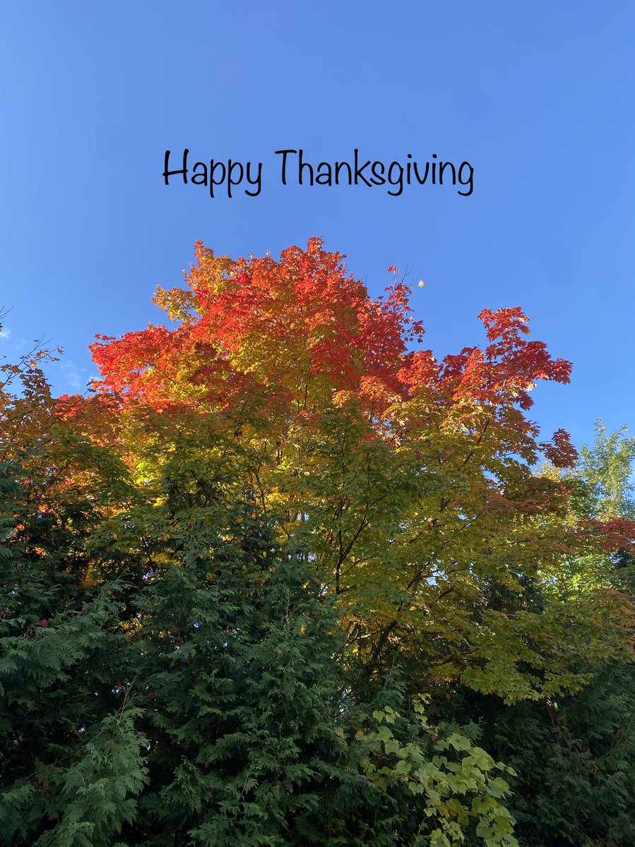 KCM Construction Group Inc. (@kcm_cg) on Twitter photo 