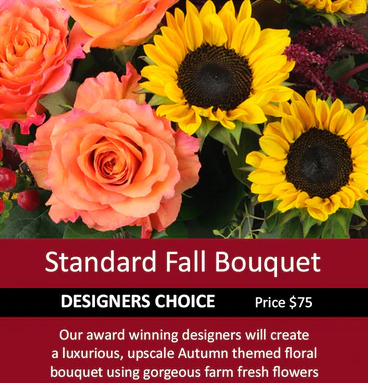 plazaflowers's tweet photo. Designer's Choice Fall Bouquet !! 🏵️🍂🍁
Let our award-winning floral design team create a luxurious fall floral bouquet for your special someone.
We offer same-day delivery of these custom designed flower arrangements.
#designerschoice #fall #pennysbyplazaflowers #phillyflorist https://t.co/4kj72Uew1Q