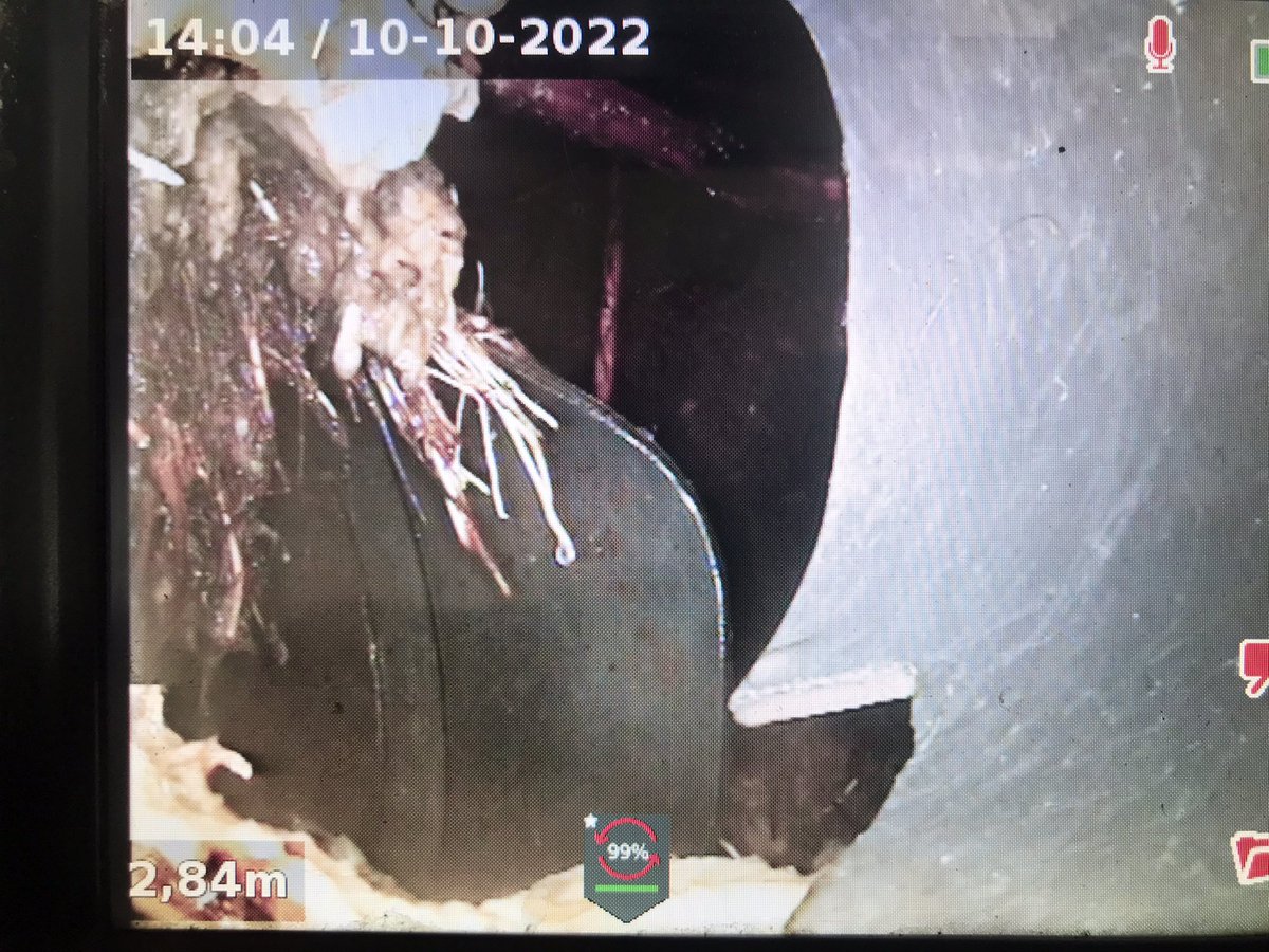 Glijn Langbroek tweet media